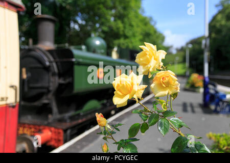 A steam train arrives at Bodmin Parkway Station, Cornwall, on the Bodmin and Wenford Steam Railway Stock Photo