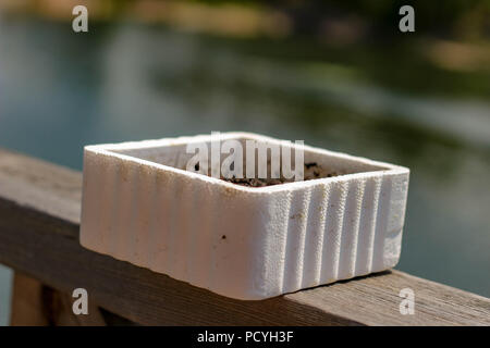 https://l450v.alamy.com/450v/pcyh3f/a-styrofoam-bait-worm-container-on-a-ledge-next-to-a-lake-ready-to-be-used-for-fishing-blurred-background-and-isolated-object-with-room-for-copy-space-pcyh3f.jpg