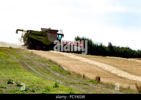 Great Brington, Northamptonshire, UK. 4th August 2018. Farm hands harvesting with a Claas 770 Lexton harvester working hard during the afternoon heat  Stock Photo