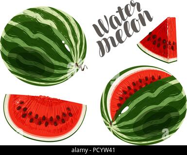 Watermelon and slices. Fresh and juicy berry. Vector illustration Stock Vector