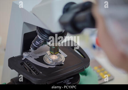 Microscope in the laboratory Stock Photo