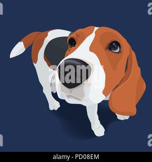 Portrait of adorable beagle dog with shadow on blue background, vector illustration Stock Vector