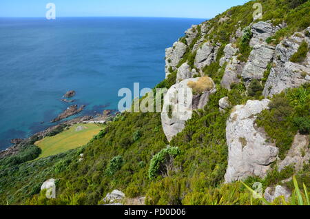 Mount Manganui, Tauranga, Cathedral Cove, New Zealand. Stock Photo