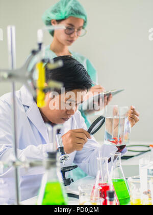 Veterinarian ,scientist or reseacher using magnifying glass to diagnose betta fish or Siamese fighting fish in fish tank with his female assistant not Stock Photo