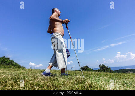 Senior man with Nordic Walking poles on the mountain meadow, Velka Javorina, Slovakia old man elderly Stock Photo