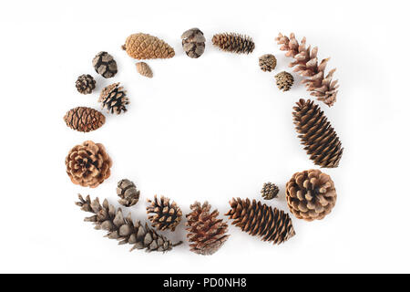 Frame made of cones various coniferous trees isolated on white, view from above. Free copy space. Stock Photo