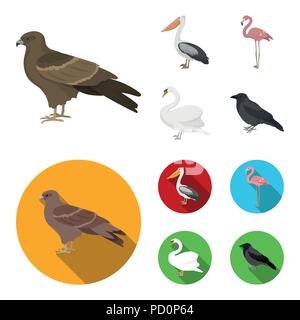 Kite, pelican, flamingo, swan. Birds set collection icons in cartoon,flat style vector symbol stock illustration . Stock Vector