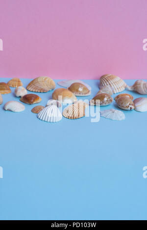 Various sea shells on a light blue and pink background with different views and lots of copyspace. Minimalist image that capture the spirit of summer. Stock Photo