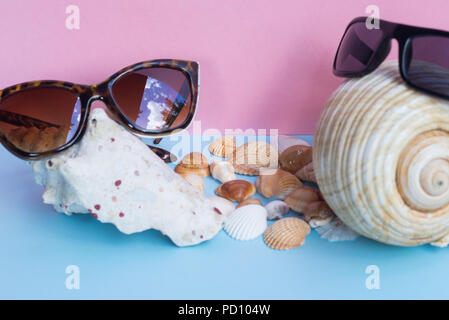 two women's and men's sunglasses over large seashells and several smaller seashells on a light blue and pink background. Minimalist nice image that ca Stock Photo