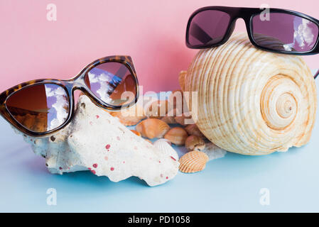 two women's and men's sunglasses over large seashells and several smaller seashells on a light blue and pink background. Minimalist nice image that ca Stock Photo