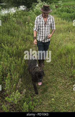 A man is walking his dog cane corso Stock Photo