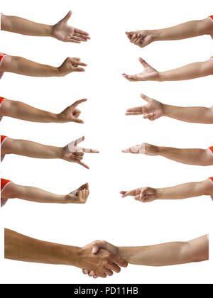 Clipping path of hand isolated on white. Multiple female caucasian hands gestures isolated on white background. Set of human hand and handshake. Stock Photo