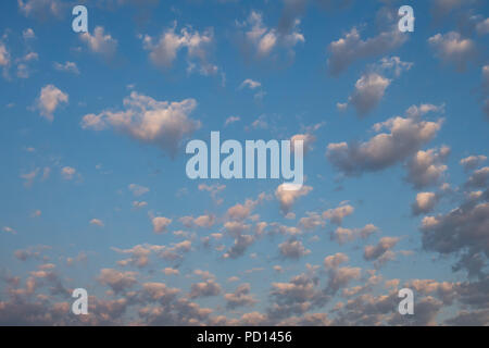 Multiple small, white, pink and gray cumulus clouds against a blue sky. Photographed at sunrise. Stock Photo