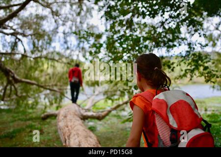 Young girl attempts to walk out on a tree branch to reach her mother, Booroona walking trail on the Ross River, Rasmussen QLD 4815, Australia Stock Photo