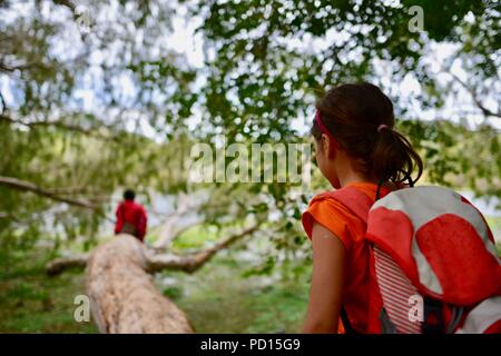 Young girl attempts to walk out on a tree branch to reach her mother, Booroona walking trail on the Ross River, Rasmussen QLD 4815, Australia Stock Photo