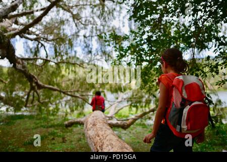 Young girl attempts to walk out on a tree branch to reach her mother, Booroona walking trail on the Ross River, Rasmussen QLD 4815, Australia Stock Photo