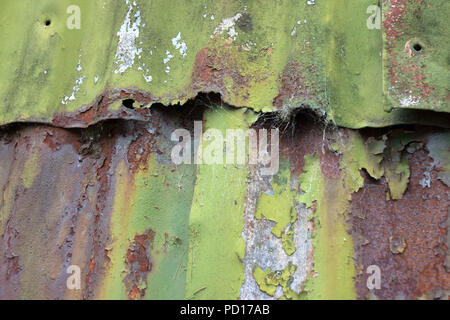 Rusting Corrugated sheets on a farm building as a background Stock Photo