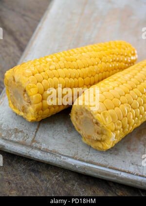 cooked corn on the cob Stock Photo