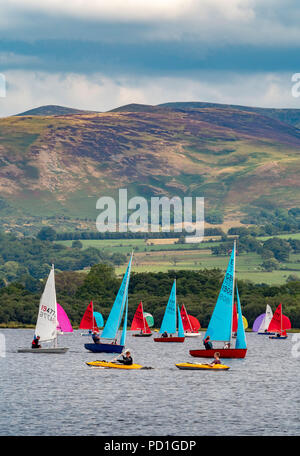 Bassenthwaite Lake, UK. 5th August, 2018. Good weather, but light winds, resulted in some early postponements on the second day of racing at Bassenthwaite Sailing Week. Hundreds of sail enthusiasts take part in the nine day event which is organised annually by Bassenthwaite Sailing Club in Cumbria. The backdrop of Skiddaw provides dramatic scenery for both sailors and spectators even if the good weather results in little wind power. This year the event runs from the 4th until the 12th of August. Photo Bailey-Cooper Photography/Alamy Live News Stock Photo