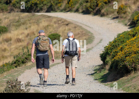 A couple of male walkers walking in heatwave weather along the Offa's Dyke Path towards Moel Famau in the Clwydian Range Hills, North Wales Stock Photo