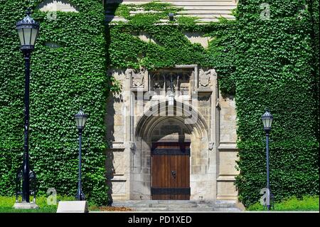 Chicago, Illinois, USA. Ivy covered wall at Roosevelt Memorial Chapel on the campus of the University of Chicago. Stock Photo