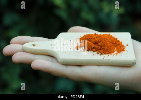 Spices - hand holding miniature cutting board with pepper powder Stock Photo