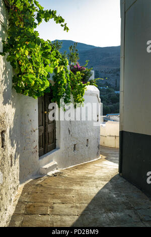 This is a picture of pathway in the greek village of Lindos in Rhodes.  There is grape vines growing on the whit washed walls. Stock Photo