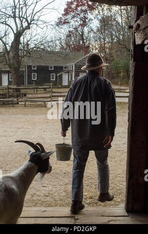 Farm worker and goat walk out of a barn at the Old Bethpage Village Restoration on Long Island, NY Stock Photo