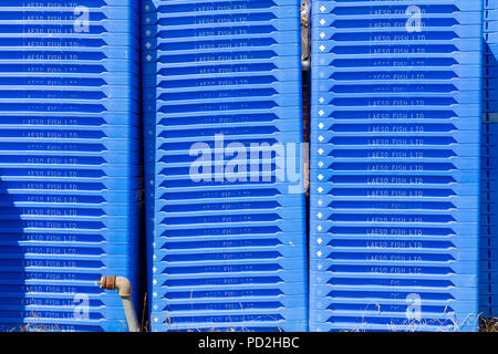 Laeso Fish Ltd., blue fishing crates; Oesterby, Laesoe, Denmark Stock Photo