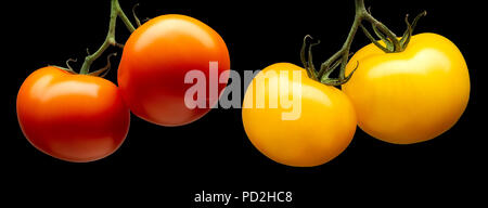 Group of red tomatoes isolated on black background Stock Photo