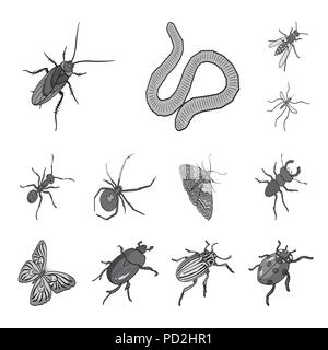 Different kinds of insects monochrome icons in set collection for design. Insect arthropod vector isometric symbol stock  illustration. Stock Vector