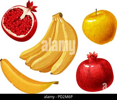 Fruits such as banana, apple, pomegranate. Vector illustration Stock Vector