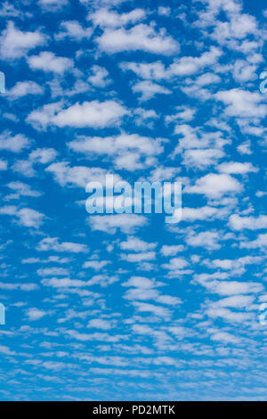 Unusual cloud formation against a blue sky. Mackerel skies in summer weather. Stock Photo