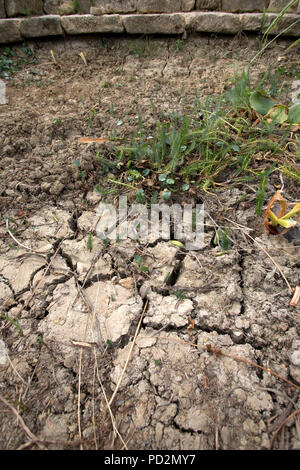 Cracked earth in dried up garden pond July 2018 Cotswolds UK Stock Photo