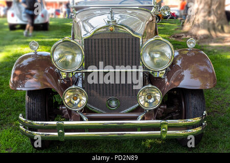 1931 Antique Packard Roadster convertible; Angel of Shavano Car Show, fund raiser for Chaffee County Search & Rescue South, Salida, Colorado, USA Stock Photo