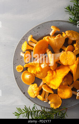 raw fresh chanterelle mushrooms on gray background Stock Photo