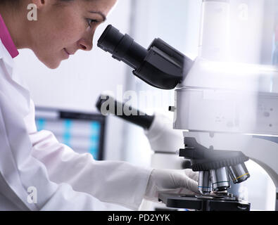 Scientist viewing human sample on glass slide under microscope Stock Photo