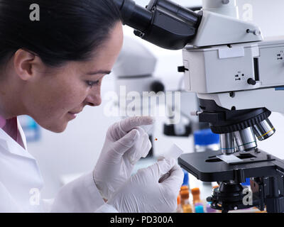 Scientist viewing human sample on glass slide under microscope Stock Photo