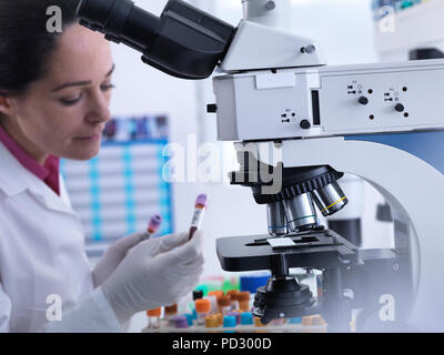 Scientist examining bar code and label on blood sample before medical testing Stock Photo