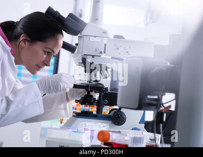 Scientist viewing human sample on glass slide under microscope Stock Photo