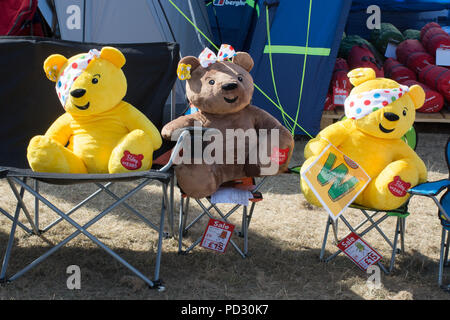 Pudsey bears on display at the Countryfile Live 2018 show, UK Stock Photo