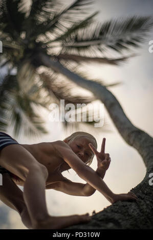 Young boy climbing palm tree, gesturing peace sign towards camera, low angle view, Beqa, Fiji