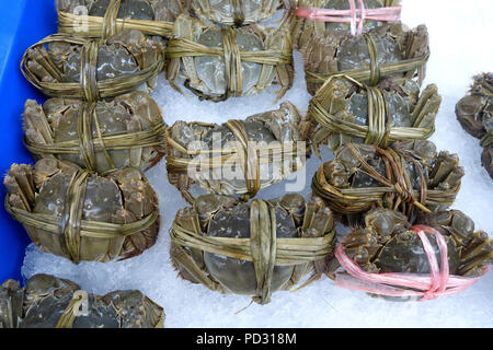 Raw shanghai hairy crab iin the wet market Stock Photo