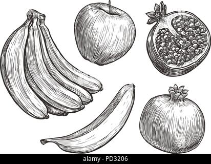 Fruits such as banana, apple, pomegranate. Sketch vector illustration Stock Vector