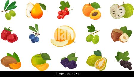 Fruits and berries, set of colored icons. Food concept. Vector illustration Stock Vector