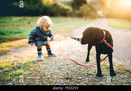 A little toddler boy and a dog outdoors on a road at sunset. Stock Photo