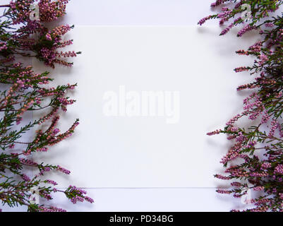 Purple autumn heathers (erica, calluna) in 2 rows on white piece of watercolor paper on ecru piece raw cotton fabric. Stock Photo