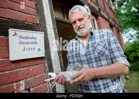 Arnum, Germany. 11th May, 2018. Pigeon breeder Hans-Heinrich Narten of the Reisevereinigung Leinetal (lit. travel association Leine valley) holds a pigeon in his hands in front of the pigeon station. Around 3900 pigeon breeders are active in Lower Saxony. The breeders have organised themselves in eight regional associations and regularly organise prize flights. Credit: Hauke-Christian Dittrich/dpa/Alamy Live News Stock Photo