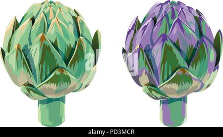 vector set of illustration green and violet vegetables artichoke on white background Stock Vector