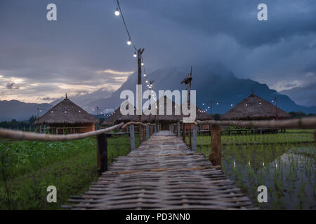 Beautiful landscape nature green Terraced Rice Field of Rainy Season and hut on Mountain in nature,Chiang Dao, Chiang Mai, Thailand. Stock Photo